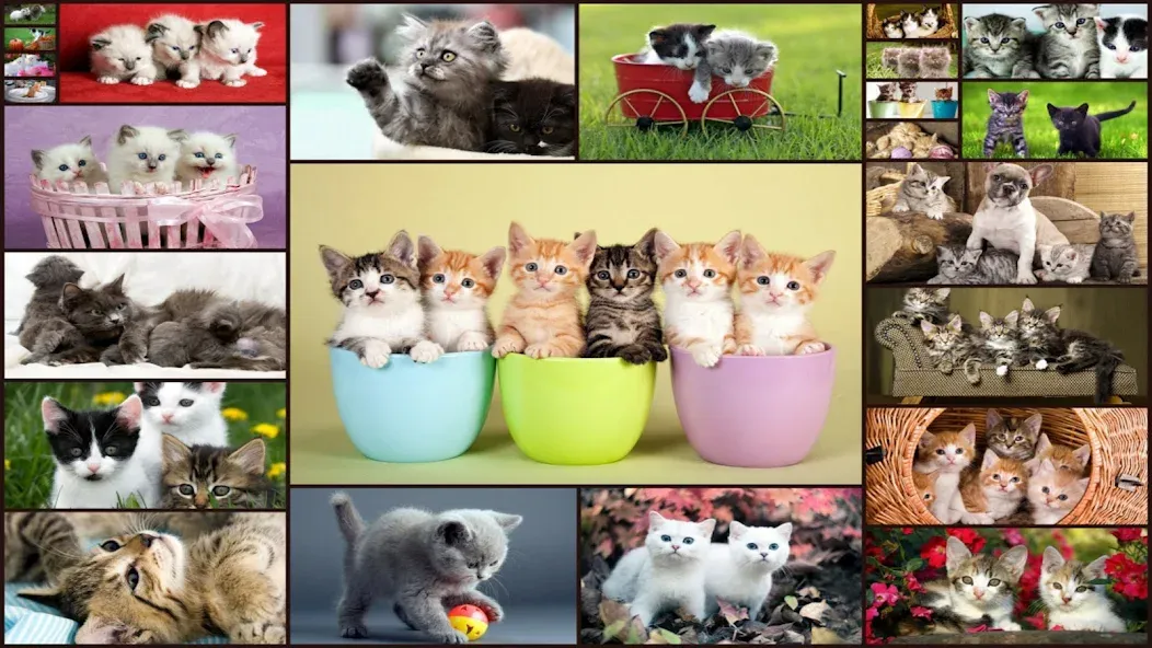 Cats Jigsaw Puzzle Game Kids screenshot 1