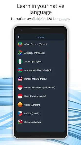 Learn 163 Languages | Bluebird screenshot 4
