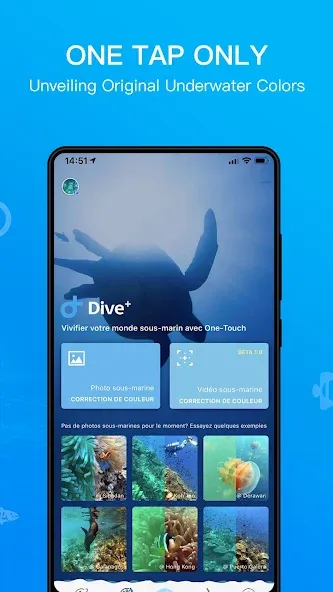 Dive+ : Diving Community screenshot 3