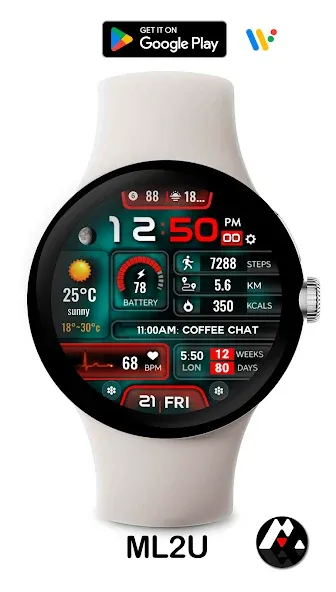ML2U 228 Watch Face screenshot 4