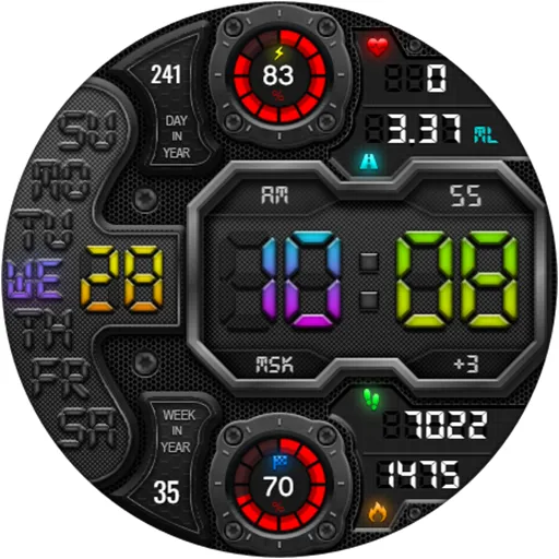 DIGI RAPANS WS24 Watch face screenshot 24