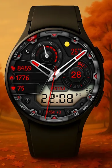 Finter Hybrid Watch Face screenshot 2