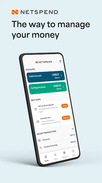 Netspend screenshot 1
