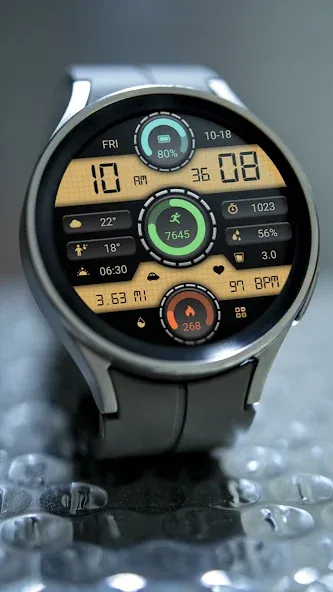 Triple Circular Classic Watch screenshot 3