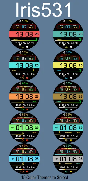 Multi Function Digital Iris531 screenshot 6