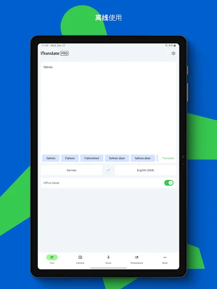iTranslate 翻译 screenshot 11