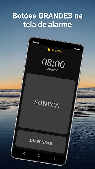 Despertador Falante Mais screenshot 6