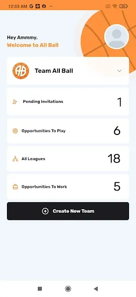 All Ball - Sports Management screenshot 7