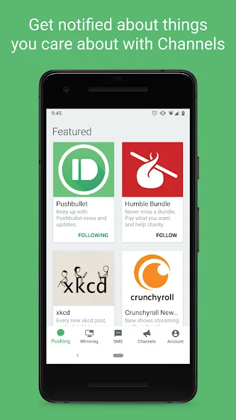 Pushbullet: SMS on PC and more screenshot 5