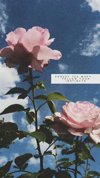 aesthetic background screenshot 4