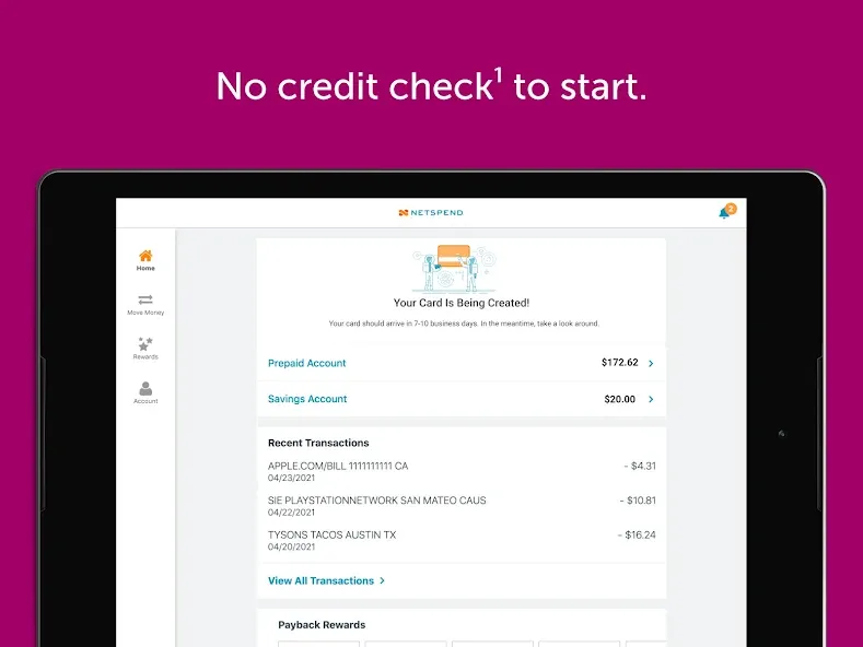 Classic Netspend screenshot 10