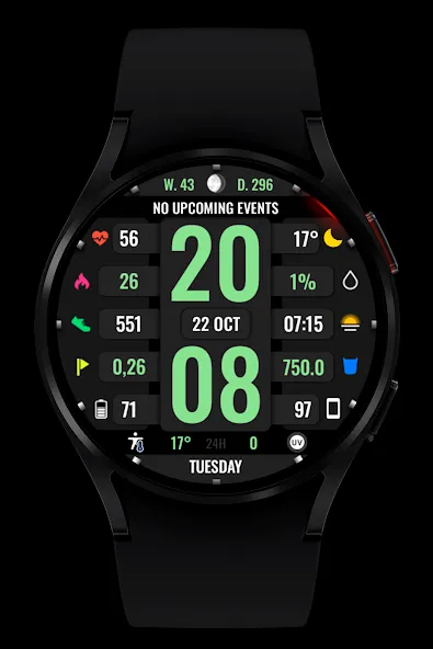 WR 017 Digital Watch Face screenshot 5