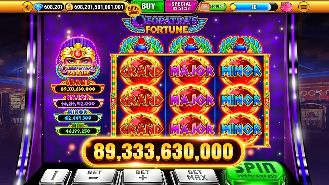 Wild Classic Slots Casino Game screenshot 6