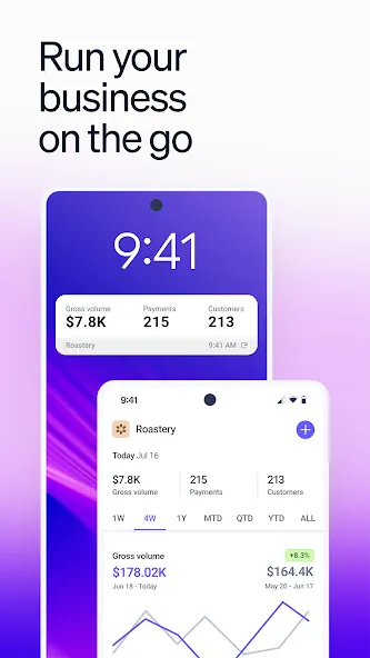 Stripe Dashboard screenshot 1