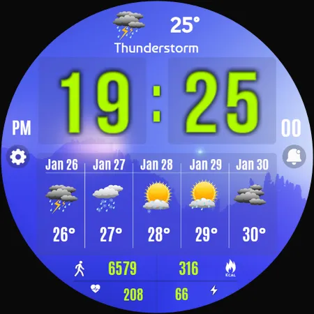 Forecast Weather Digital screenshot 36