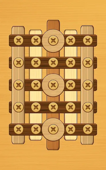 Screw Puzzle: Wood Nut & Bolt™ screenshot 12
