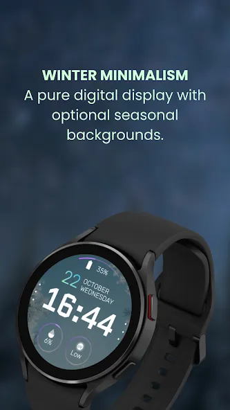 EXD187: Digital Winter Face screenshot 2