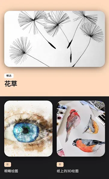 学习绘图 screenshot 1