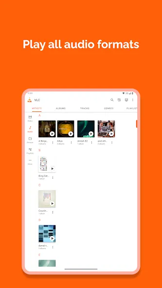 VLC for Android screenshot 10