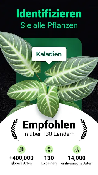 Plantum - Pflanzen bestimmen screenshot 1