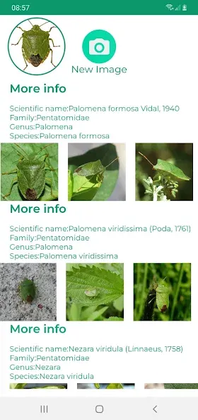 Insektenidentifikator screenshot 13