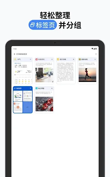 Google Chrome 浏览器 screenshot 12