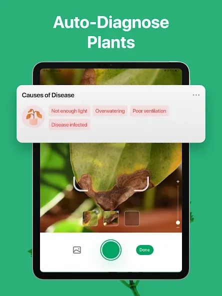 PictureThis - Plant Identifier screenshot 12