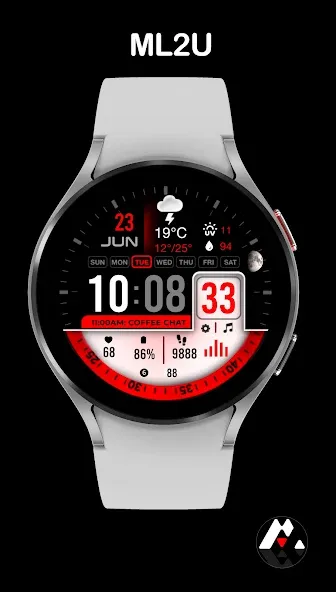 ML2U 296b Modern Digital screenshot 4