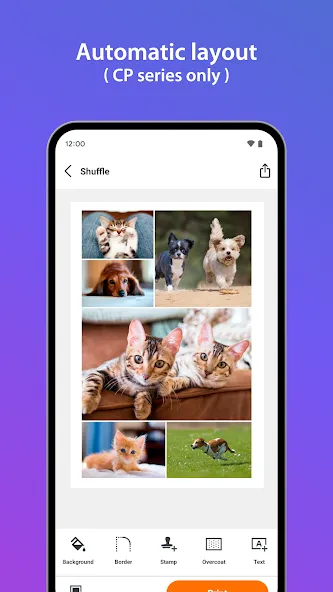 SELPHY Photo Layout screenshot 5