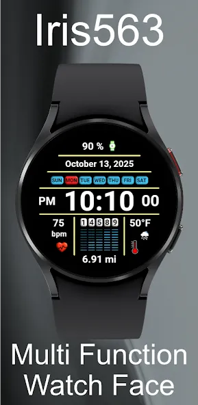 Iris563 Multi-Function Digital screenshot 3