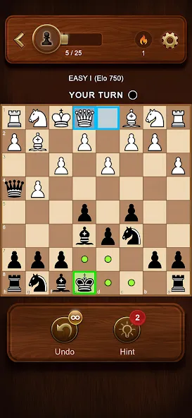 Chess Master: Board Game screenshot 1