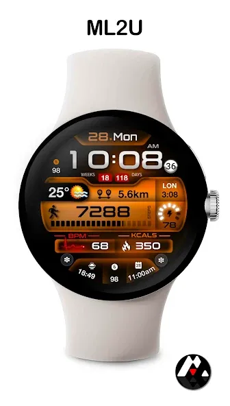 ML2U 247 Watch Face screenshot 4