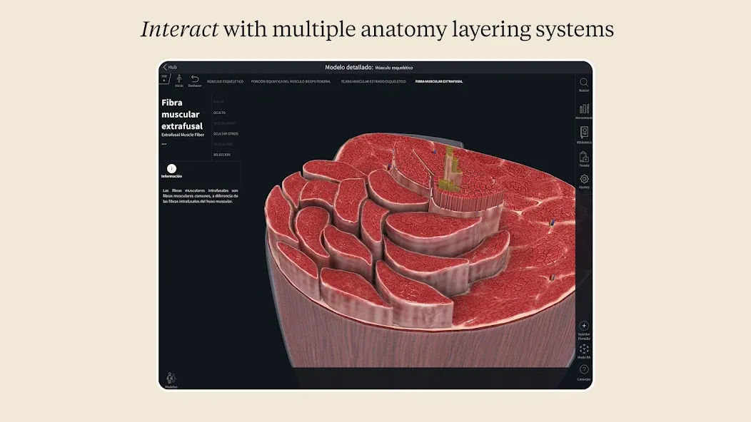 Complete Anatomy - Learn in 3D screenshot 13