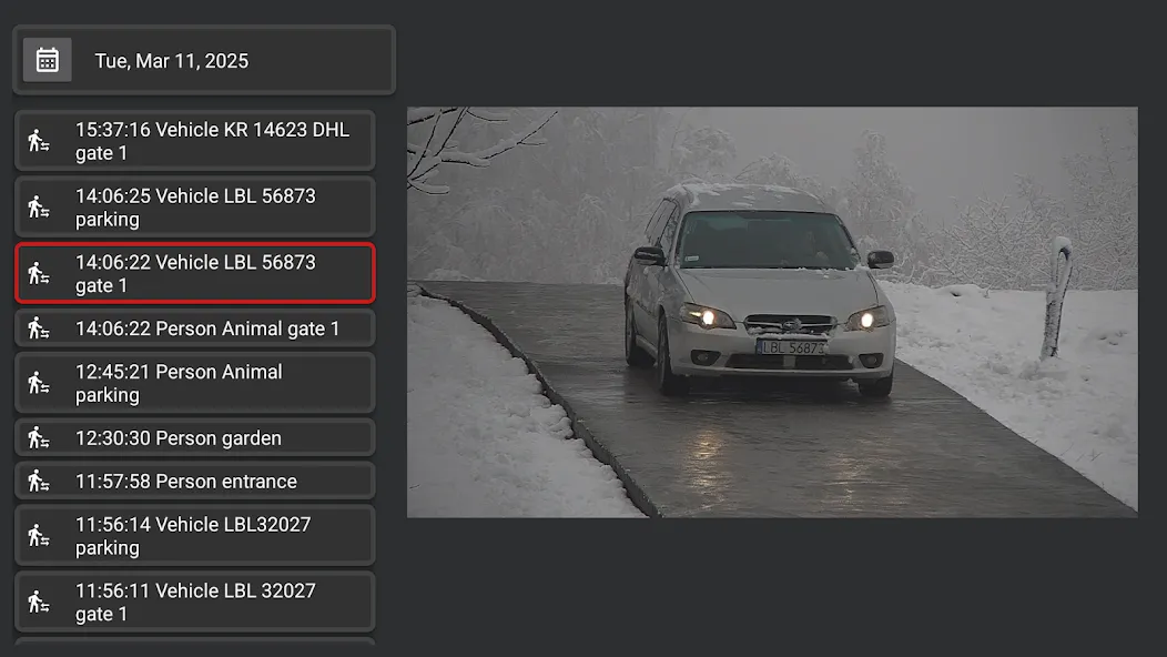 IP Camera Viewer screenshot 28