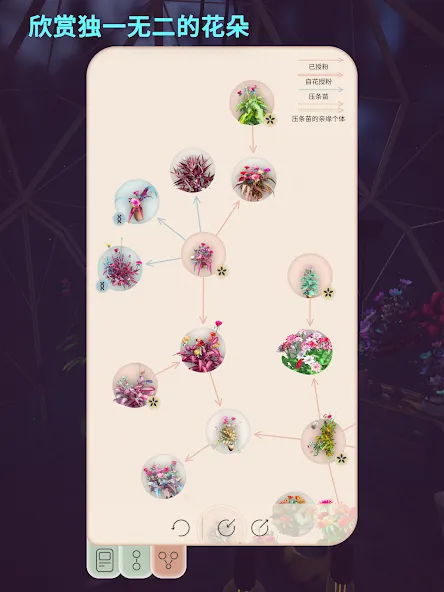 Florisium screenshot 22
