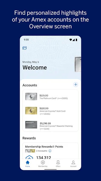 Amex screenshot 2