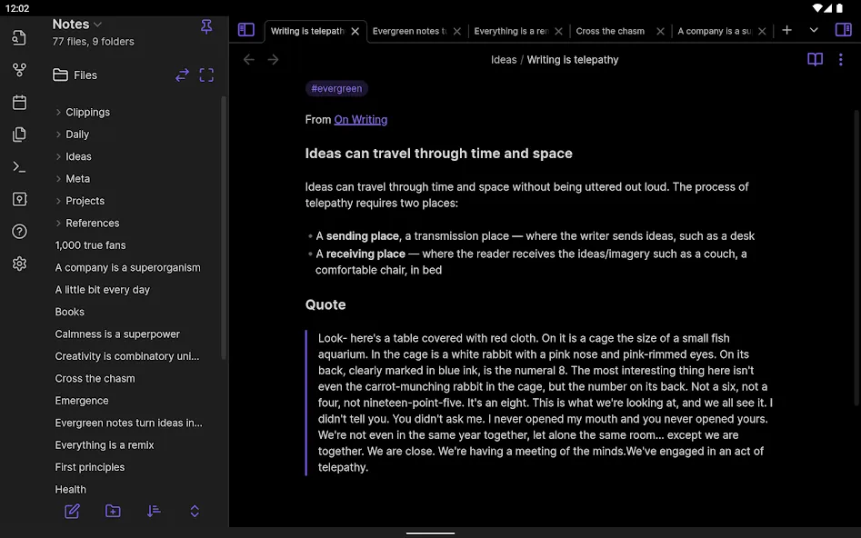 Obsidian screenshot 17