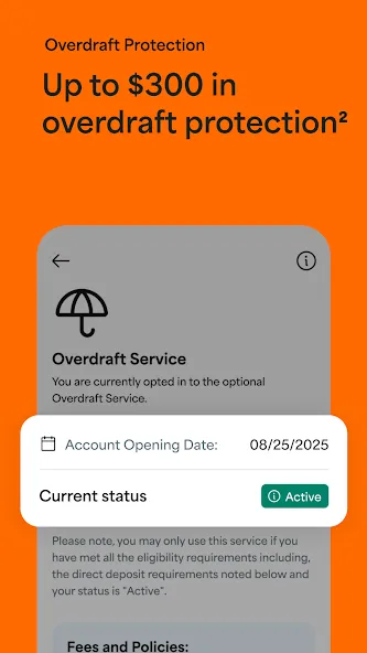 Netspend screenshot 3