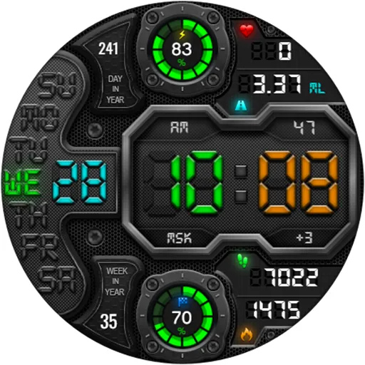 DIGI RAPANS WS24 Watch face screenshot 21