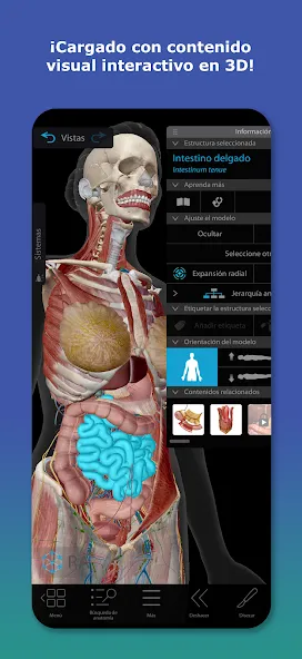 Atlas de anatomía humana 2026 screenshot 1