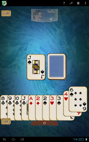 Gin Rummy Pro screenshot 15