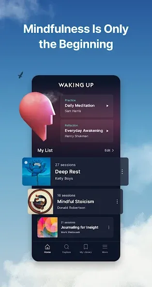 Waking Up: Meditation & Wisdom screenshot 7