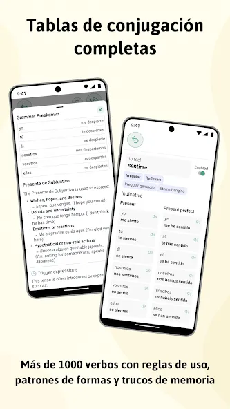 Español verbos y conjugaciones screenshot 5