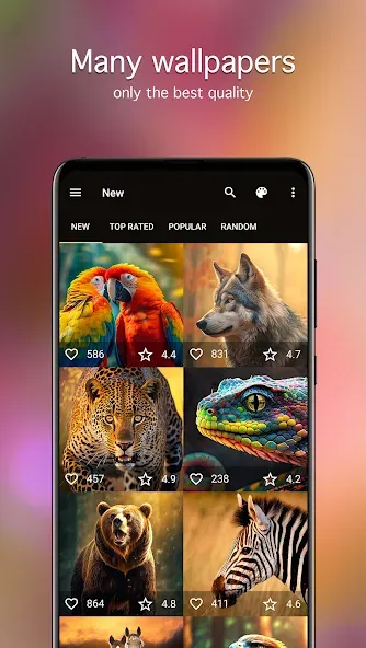 Animal Wallpapers 4K screenshot 2