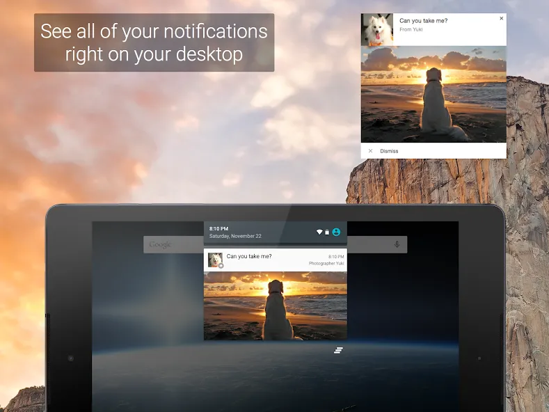 Pushbullet: SMS on PC and more screenshot 14