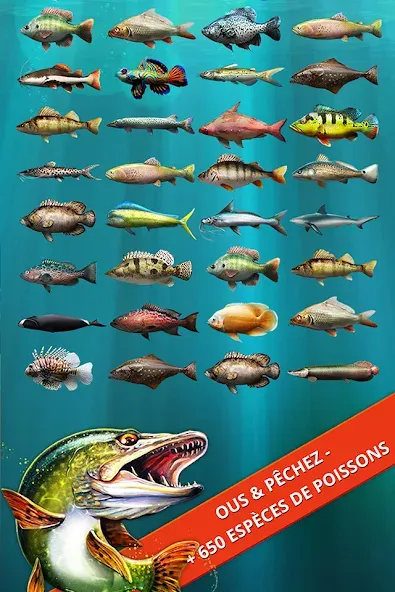 Let's Fish: Jeu de Pêche screenshot 8