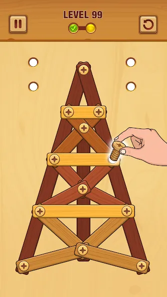 Wood Nuts: Nuts & Bolts screenshot 2