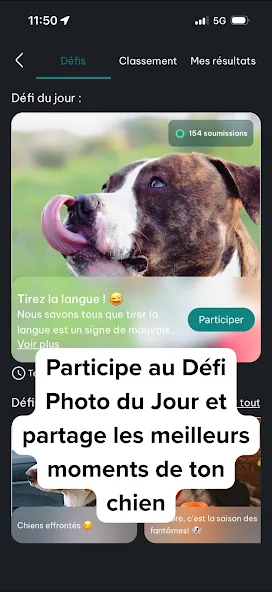 DogPack : Parcs et services screenshot 6
