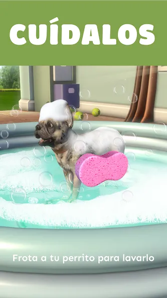 Pocket Paws: perros adorables screenshot 5