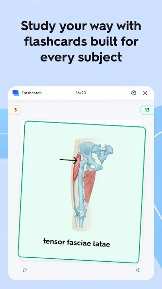 Quizlet: More than Flashcards screenshot 10